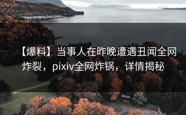【爆料】当事人在昨晚遭遇丑闻全网炸裂，pixiv全网炸锅，详情揭秘