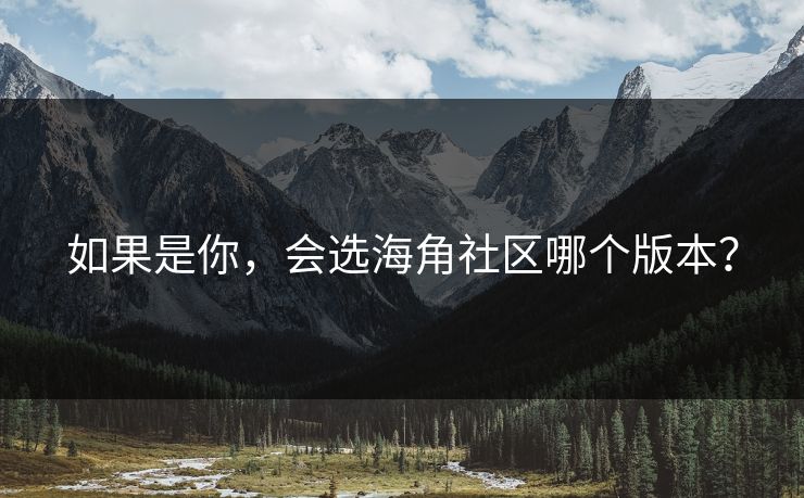 如果是你，会选海角社区哪个版本？