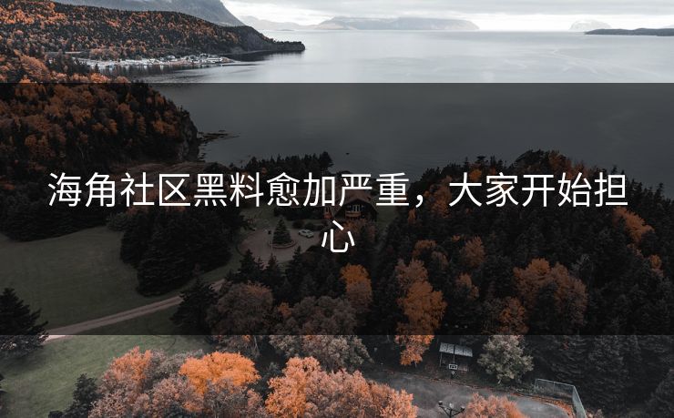 海角社区黑料愈加严重，大家开始担心