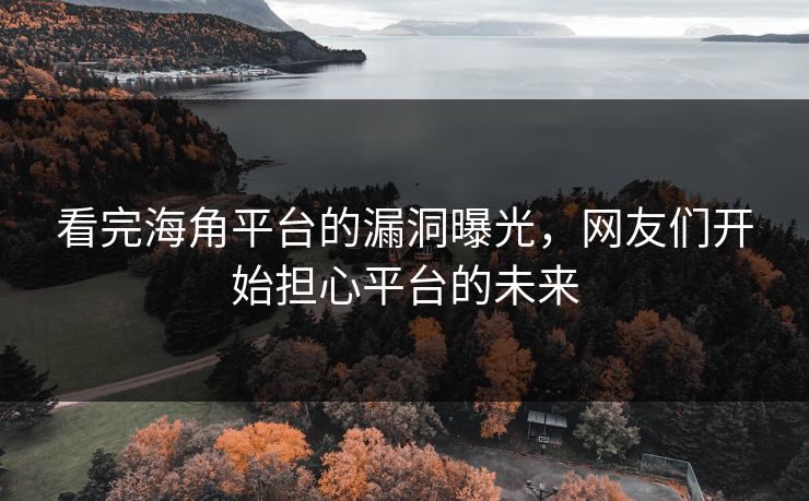 看完海角平台的漏洞曝光，网友们开始担心平台的未来