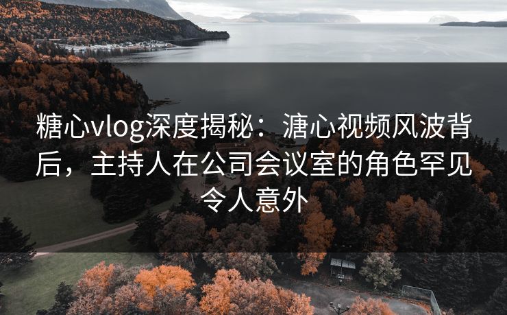 糖心vlog深度揭秘：溏心视频风波背后，主持人在公司会议室的角色罕见令人意外